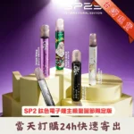 SP2-鈦色主機聖誕限定版
